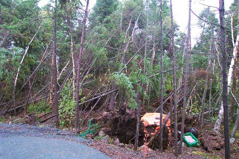 The Lingering Effects Of Hurricane Juan