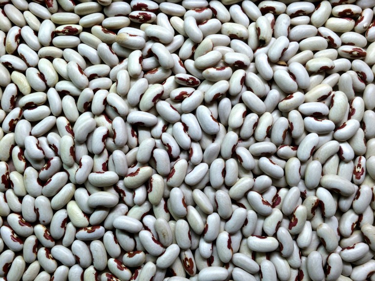 Soldier Beans