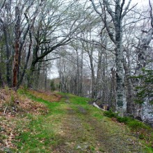 A Walk And A Find trail
